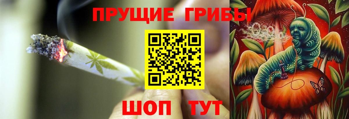 Псилоцибиновые грибы MAGIC MUSHROOMS  Вход с VPN  Когалым  Галлюциногенные грибы GOLDEN TEACHER 